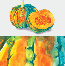 大人の塗り絵：透明水彩で描く「和南瓜（かぼちゃ）」♪