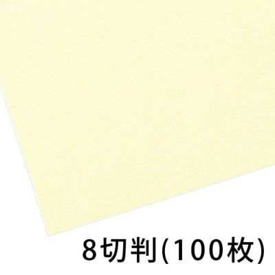 新鳥の子紙 8切判(100枚入)