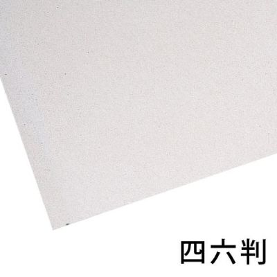ニューブレダン 四六判(1枚)［丸めて梱包（平らに梱包不可）］