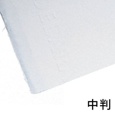 アルデバラン 中判(1枚)