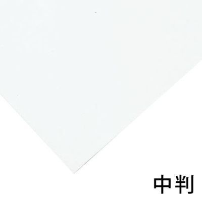 BFK 中判(1枚)