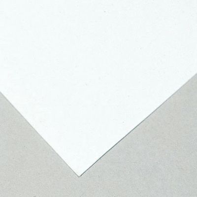 吸い取り紙 10枚入(新富士 白 菊／Ｔ #80)