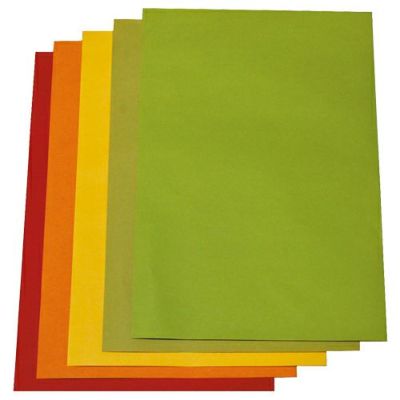 版画用色和紙セット（5色組）