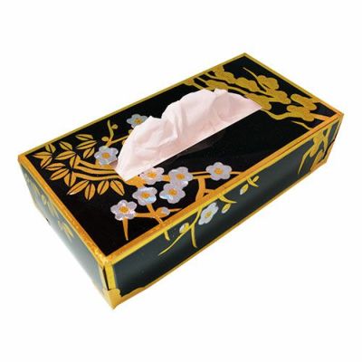 プッシュカラーらでん蒔絵ティッシュボックス