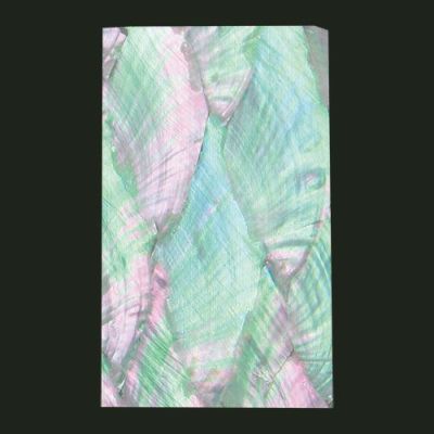 カッターで切れる青貝 南洋貝