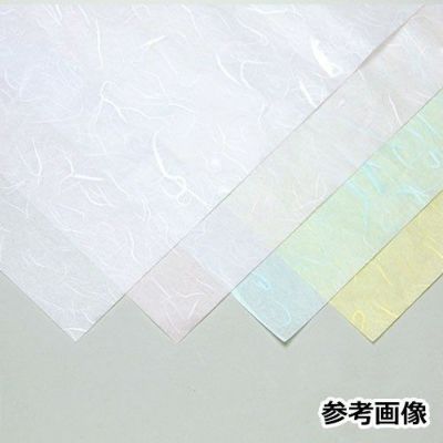 雲竜紙 白(5枚入)