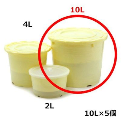 釉薬プラ容器5個組 10L