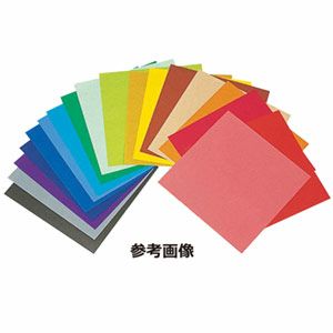 ニュートーナルカラー B6判 50色組