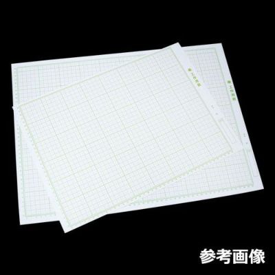 工作用方眼ボール紙 4切判(50枚入)