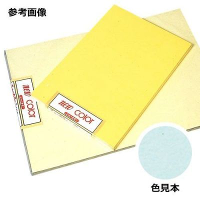 ニューカラーR ライトブルー 8つ切 100枚入[パステルトーン]