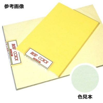 ニューカラーR メロン 8つ切 100枚入[パステルトーン]