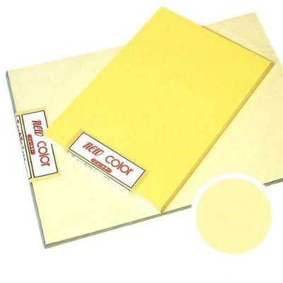 ニューカラーR ライトイエロー 8つ切 100枚入[パステルトーン]