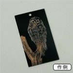 スクラッチアクセサリー 長方形(黒65×35mm)