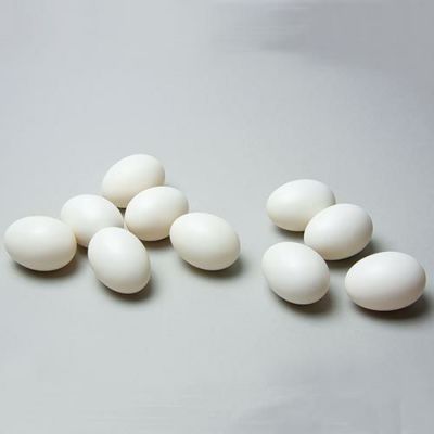 白地たまご L 10個組